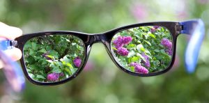 Using Visuals to Enhance Your Content